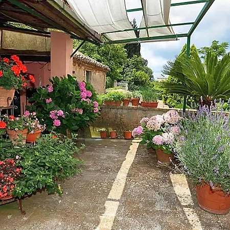 Bed & Breakfast Di Francia Vibo Valentia